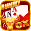 kash rummy apk download